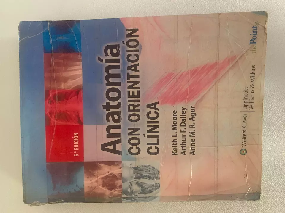 Corotos Libro de Anatomía de Moore 6ta edición