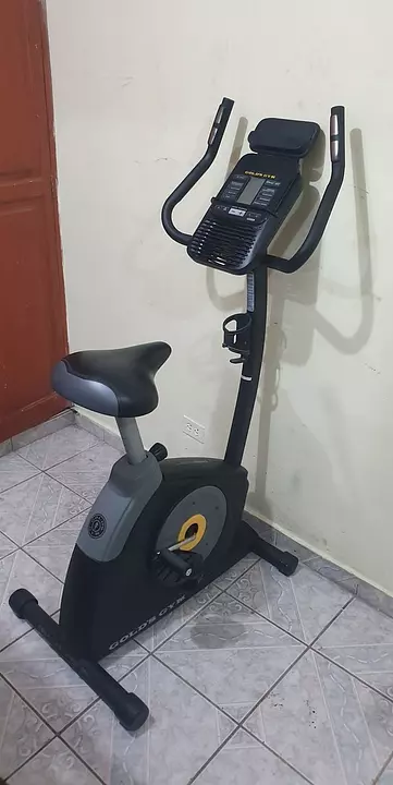 Bicicleta estatica gold discount gym