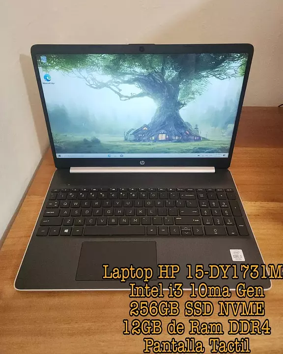 Corotos Laptop Hp 15 Dy1731ms Intel I3 10ma Gen I 256gb Ssd Nvme I 12gb Ram Ddr4 I Panta 1750