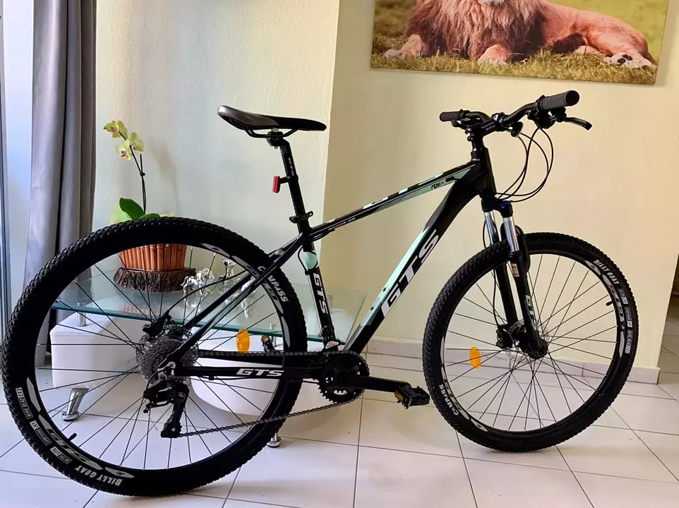 Bicicleta MTB GTS Aro 29 frenos hidr ulicos