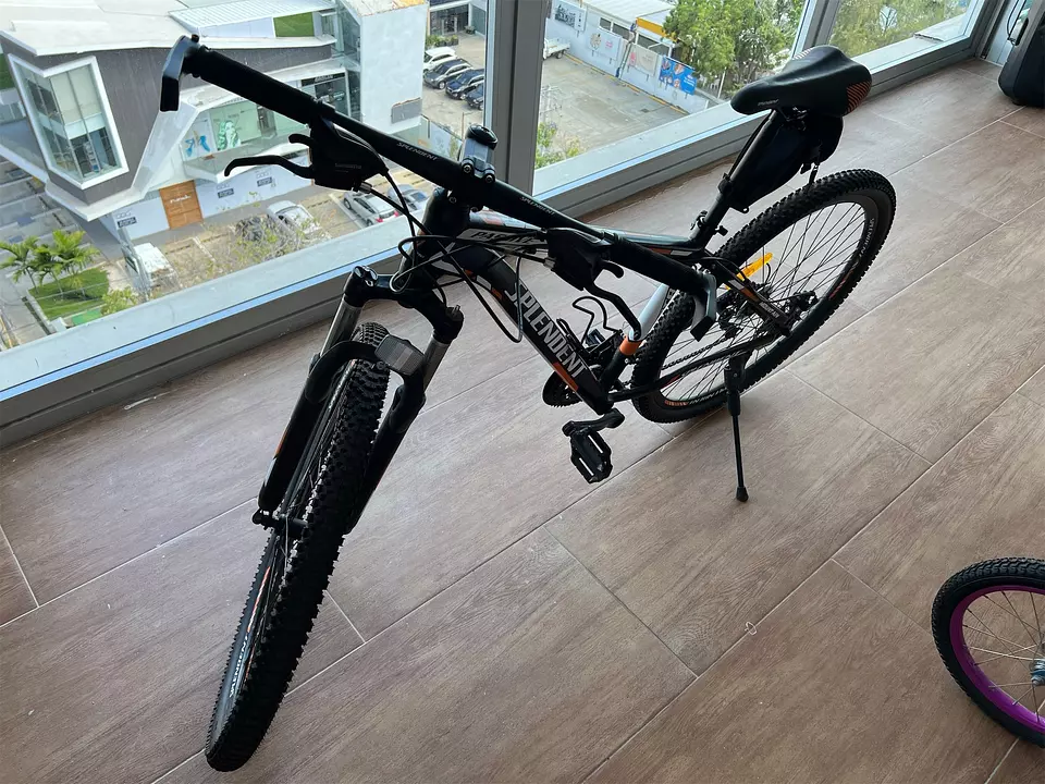 Bicicleta splendent aro online 29 precio