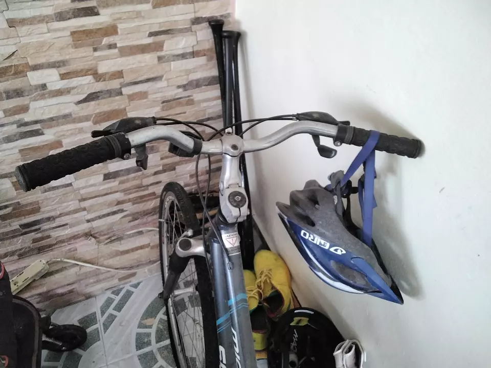 Bicicleta store schwinn quality