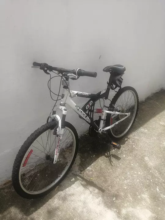 Bicicletas en best sale venta corotos