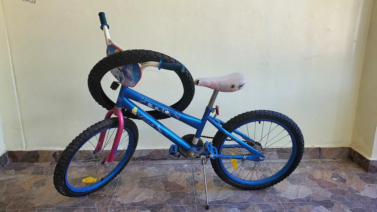 Olx bicicletas usadas online santo domingo