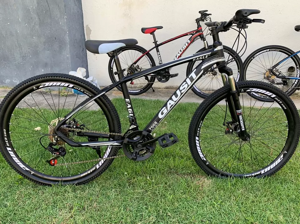 Bicicleta gausit eagle discount precio