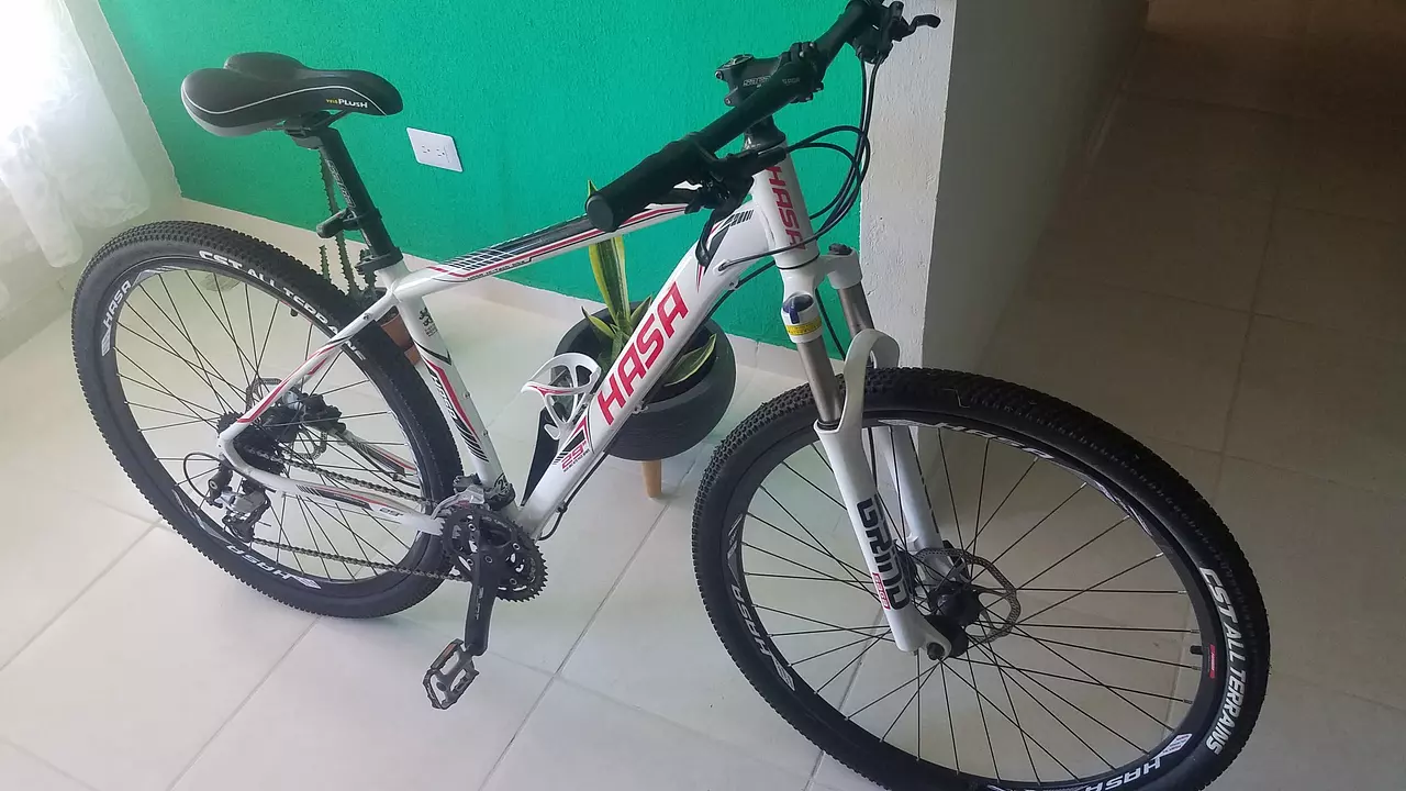 Bicicleta discount hasa precio