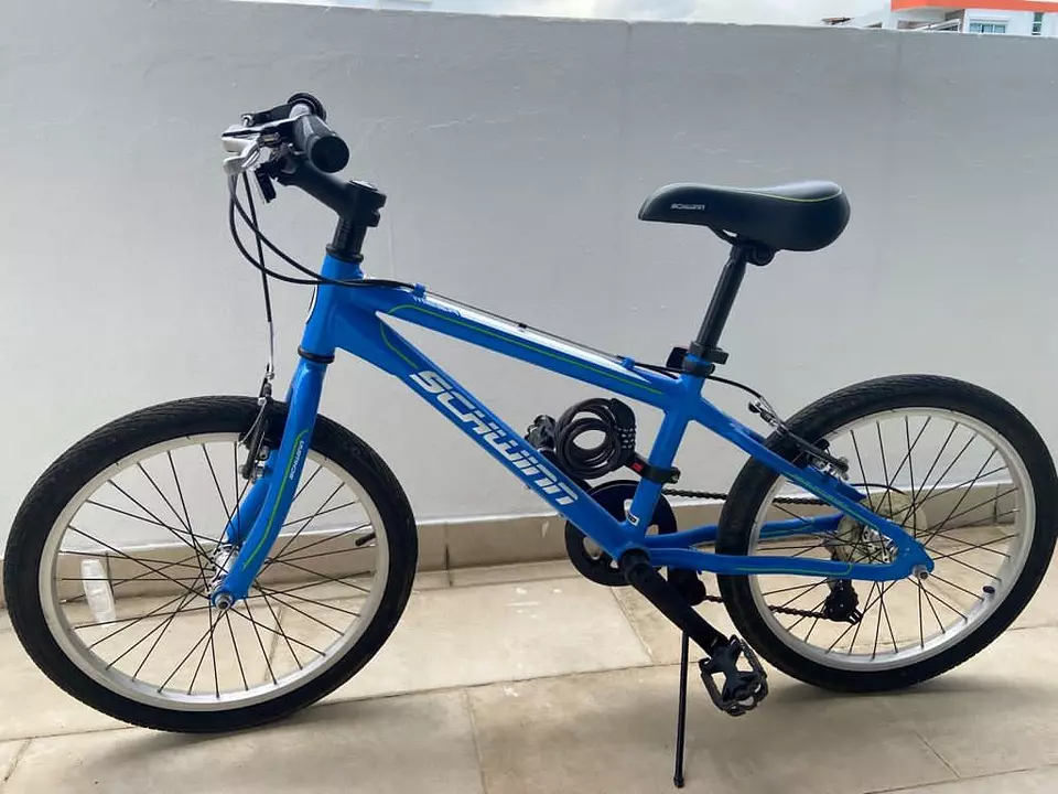 Bicicleta schwinn para online niño