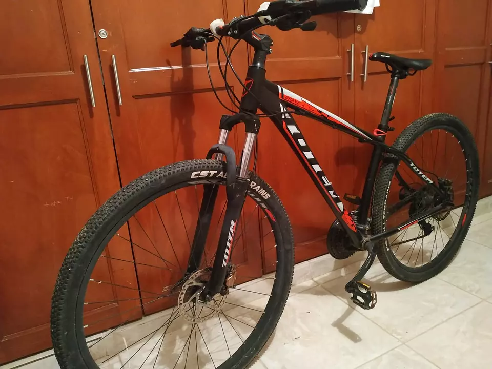 Bicicleta Totem Mtb Modelo Fussion Aro 29 Talla 19 Negro Rojo