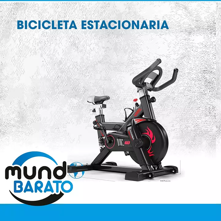 Bicicleta spinning santo online domingo