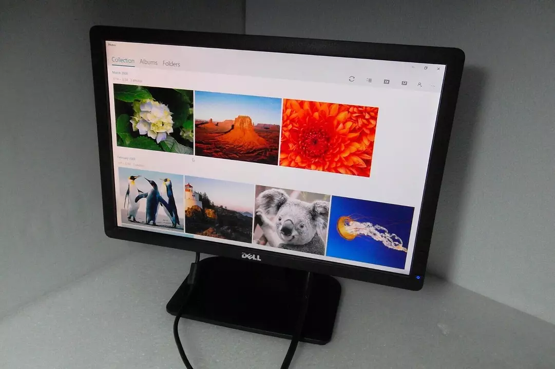 MONITOR DELL 20 PULGADAS SCREEN 