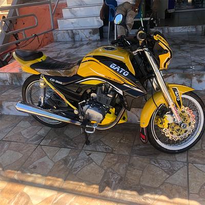 Corotos | Motor gato Cg 300 2019