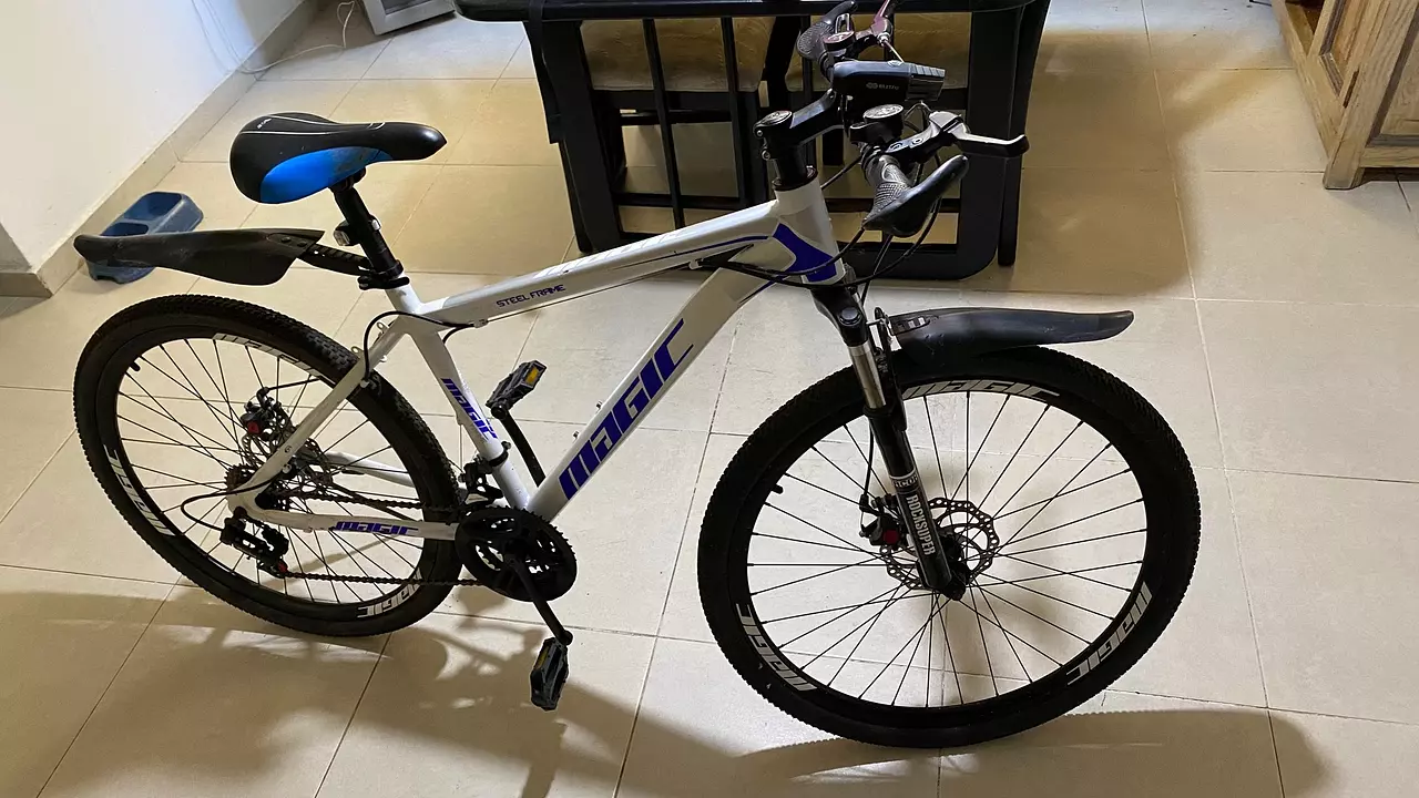 Bicicletas usadas santo discount domingo