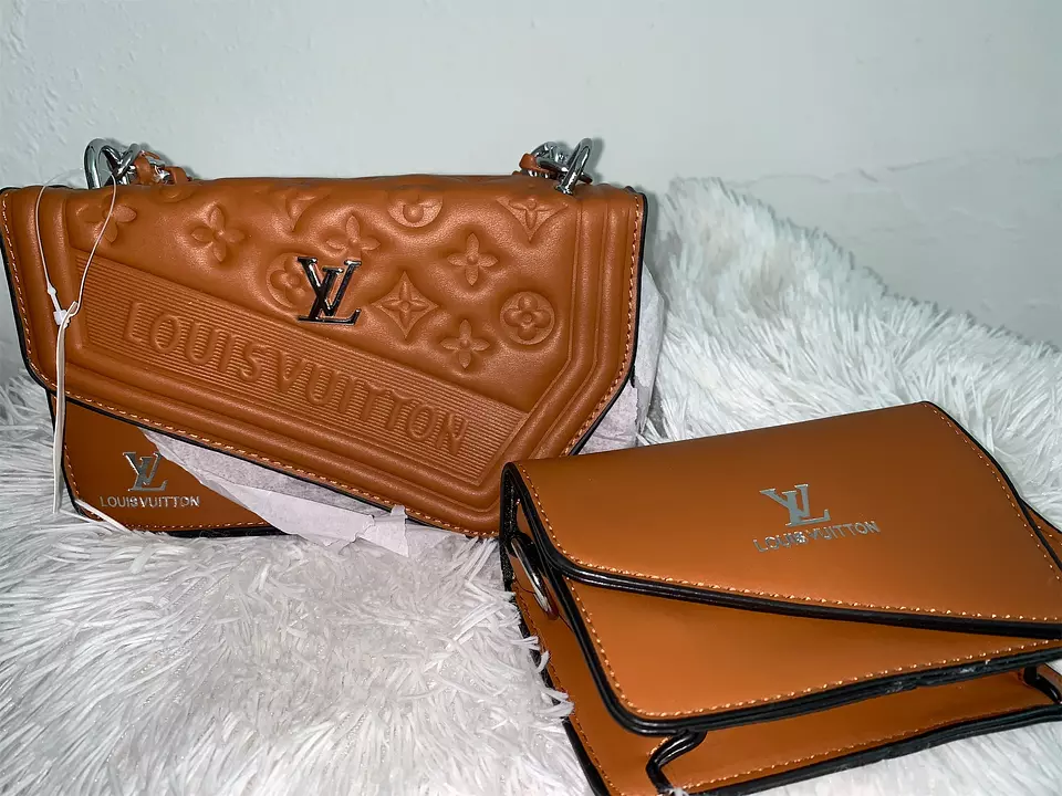 Corotos  Mini cartera Louis Vuitton